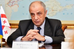 Georgian ambassador to Ukraine quits post 