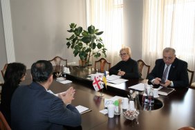Денисова провела зустріч із депутатами Парламенту Грузії