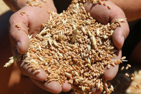 Canada says the West must free Ukrainian wheat