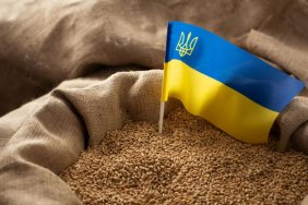 European Parliament approves agreement on imports of products from Ukraine with new restrictions